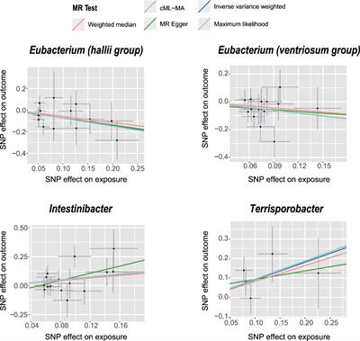 Association between gut microbiota and primary ovarian insufficiency: a bidirectional two-sample Mendelian randomization study